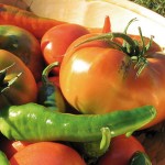 Permalink to METODO HACCP + PROCEDURE HACCP agricoltura-biologica1